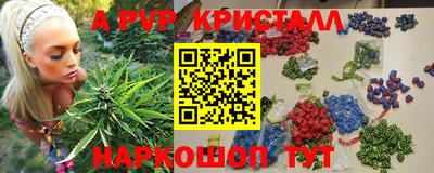 прущие грибы Обнинск
