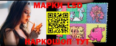прущие грибы Обнинск