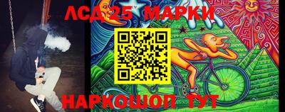 прущие грибы Обнинск