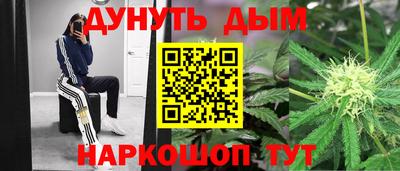 прущие грибы Обнинск