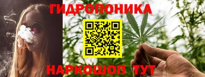 прущие грибы Обнинск