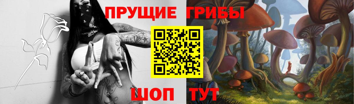 Галлюциногенные грибы Magic Shrooms  Вход с VPN  Усолье-Сибирское 